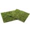 Фон моховий Repti-Zoo Natural Moss Back & Bottom 20x20см 2шт. (NCM2020)