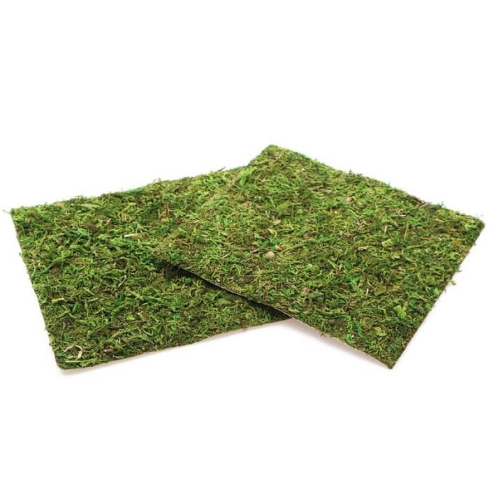 Фон моховий Repti-Zoo Natural Moss Back & Bottom 20x20см 2шт. (NCM2020)