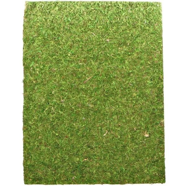 Фон моховий Repti-Zoo Natural Moss Back & Bottom 20x30см 2шт. (NCM3020)