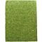 Фон моховий Repti-Zoo Natural Moss Back & Bottom 20x30см 2шт. (NCM3020)
