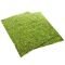 Фон моховий Repti-Zoo Natural Moss Back & Bottom 20x30см 2шт. (NCM3020)