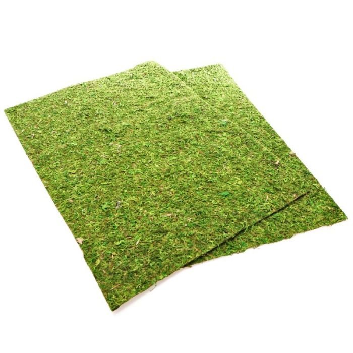 Фон моховий Repti-Zoo Natural Moss Back & Bottom 20x30см 2шт. (NCM3020)