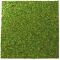 Фон моховий Repti-Zoo Natural Moss Back & Bottom 30x30см 2шт. (NCM3030)