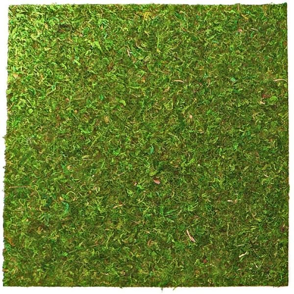 Фон моховий Repti-Zoo Natural Moss Back & Bottom 45x45см 2шт. (NCM4545)