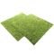 Фон моховий Repti-Zoo Natural Moss Back & Bottom 45x45см 2шт. (NCM4545)