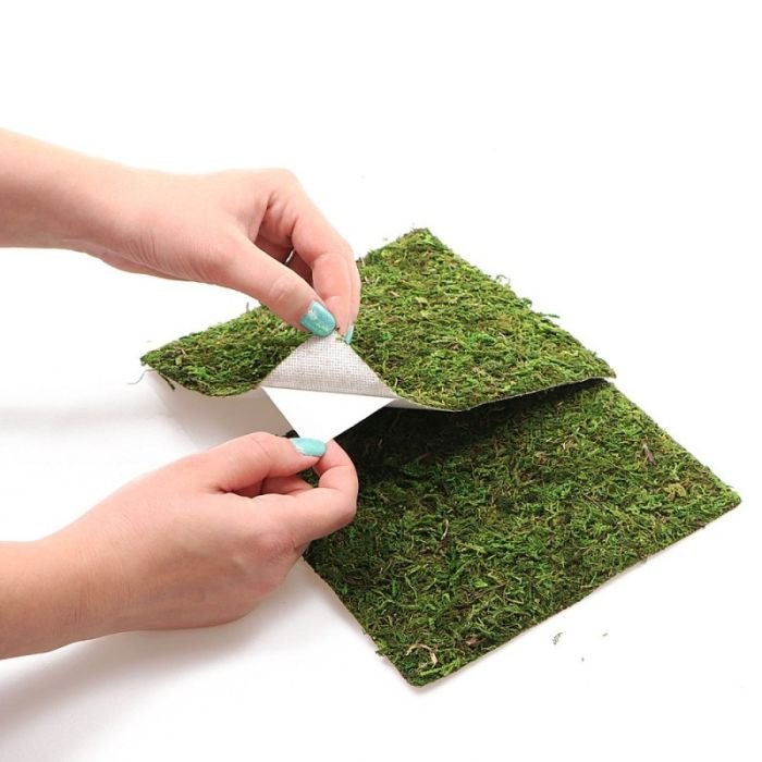 Фон моховий Repti-Zoo Natural Moss Back & Bottom 60x45см 2шт. (NCM6045)