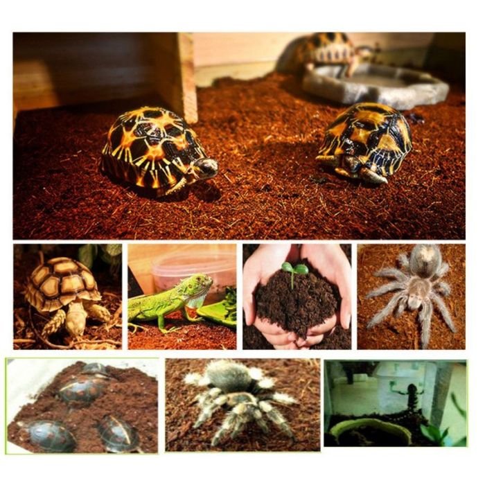 Субстрат тропічний Komodo Tropical Terrain 6л (U46015)