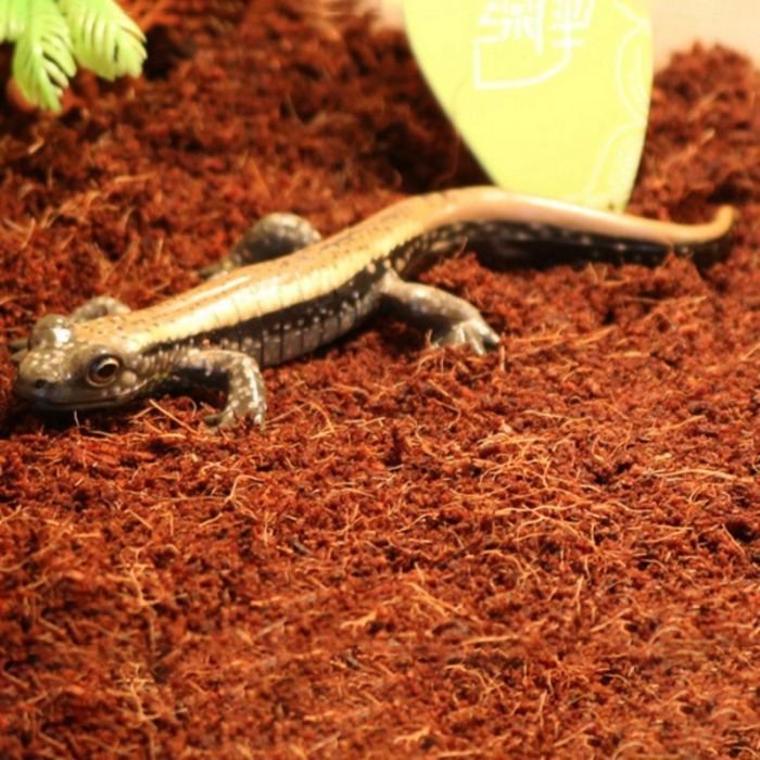 Субстрат тропічний Komodo Tropical Terrain 6л (U46015)