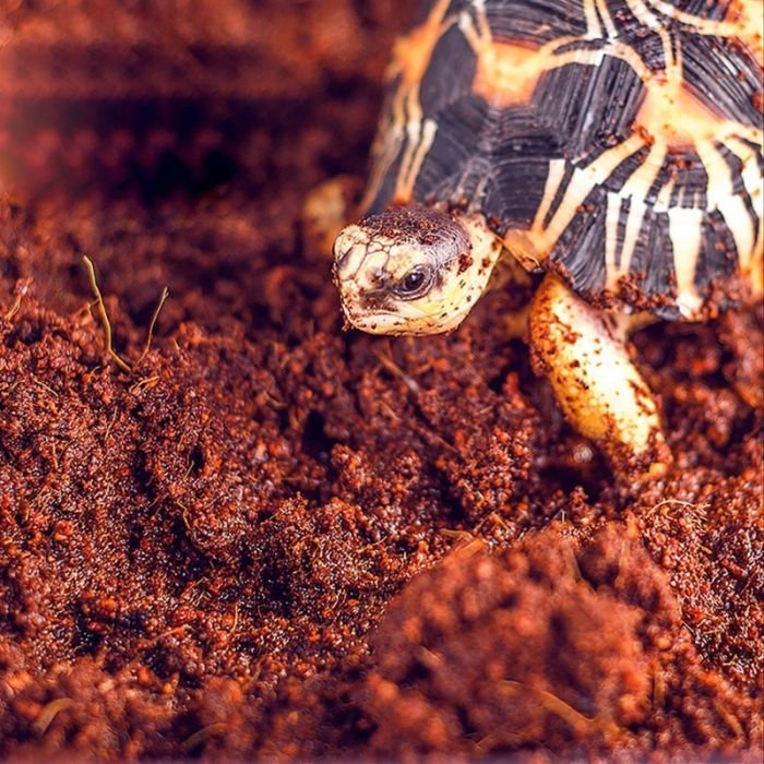 Субстрат тропічний Komodo Tropical Terrain 6л (U46015)