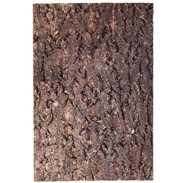 Фон з кори для тераріуму Repti-Zoo Big Tree Background 30x45 (NCT02)