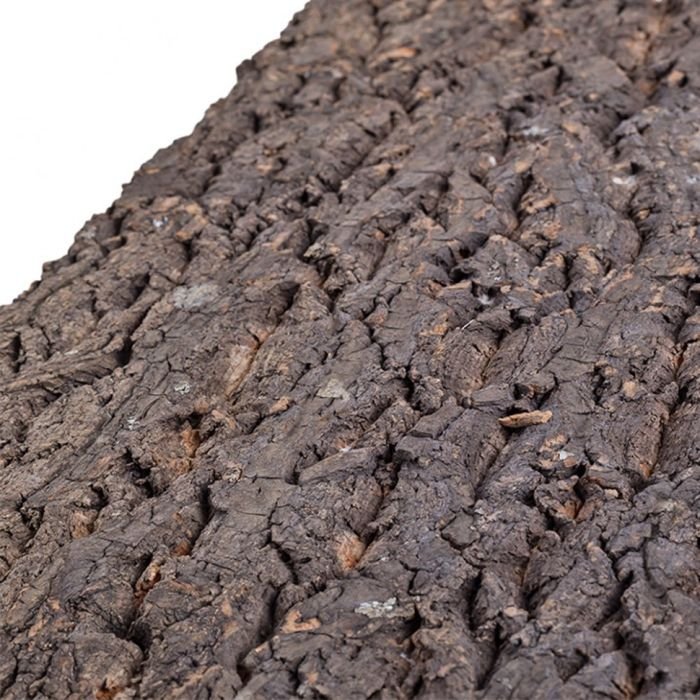 Фон з кори для тераріуму Repti-Zoo Big Tree Background 30x45 (NCT02)