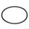 Ущільнююче кільце для Eheim universal/Professionel 3e 450/600/700 (1250, 2076/78) (7221058)