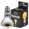 Неодимова лампа Terrario Banikane Neodymium Light 25w (TR-BANIKANE-25W)