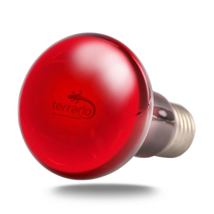 Інфрачервона нагрівальна лампа Terrario Nangola Red Night Light 25W (TR-NANGOLA-25W)