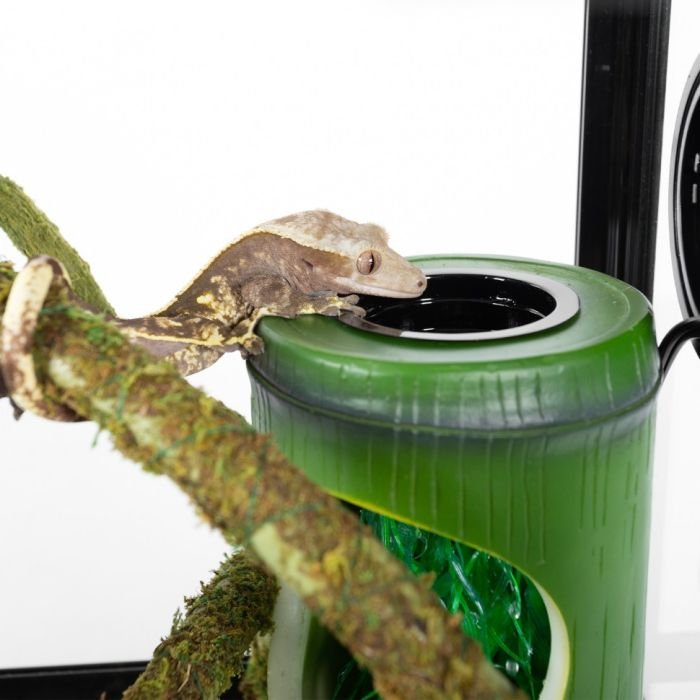 Фонтан для хамелеонів і геконів Repti-Zoo Bamboo (DF02)