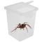Тераріум, фаунаріум Terrario Insect Box High 9x9x11см