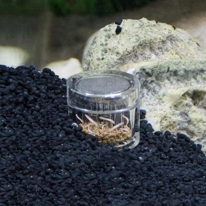 Пастка для планарії Hobby Planaria X (61345)